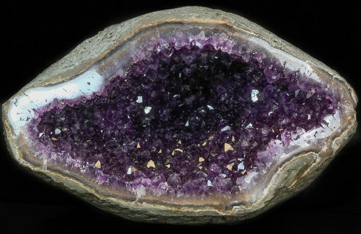 Dark Amethyst Geode From Uruguay - lbs #41900